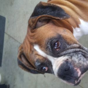 Meet your Posher, Jason